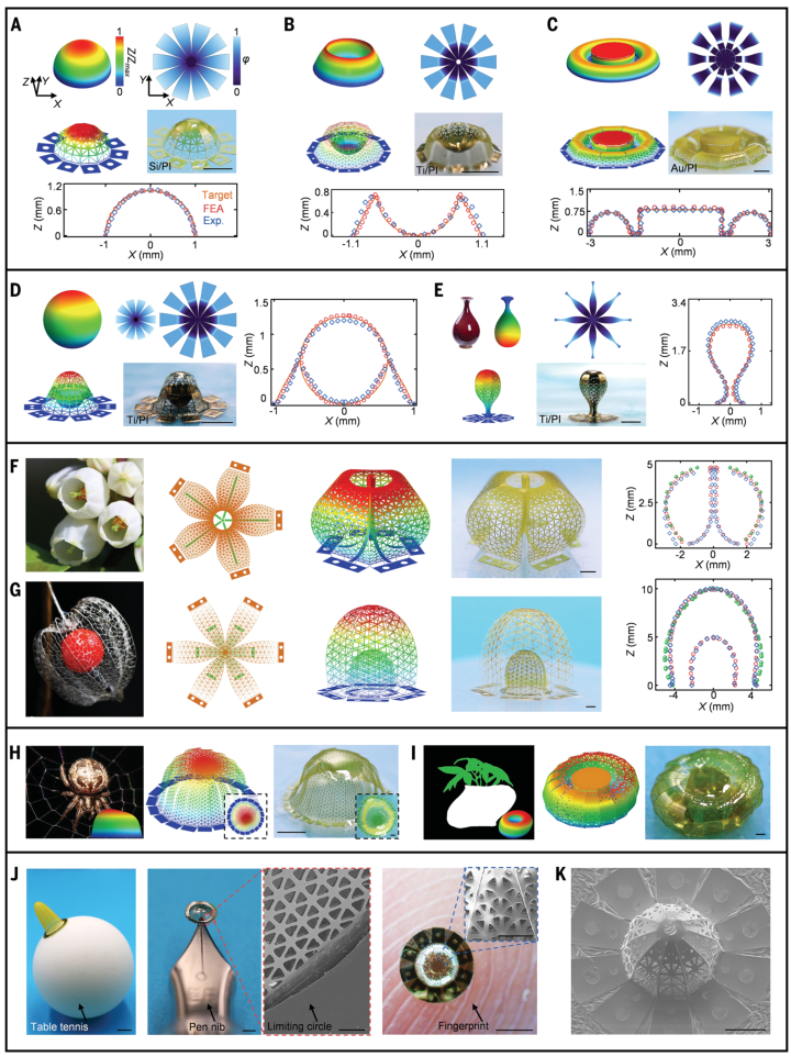 图2. 基于分析模型的三维曲面介观表面逆向设计。