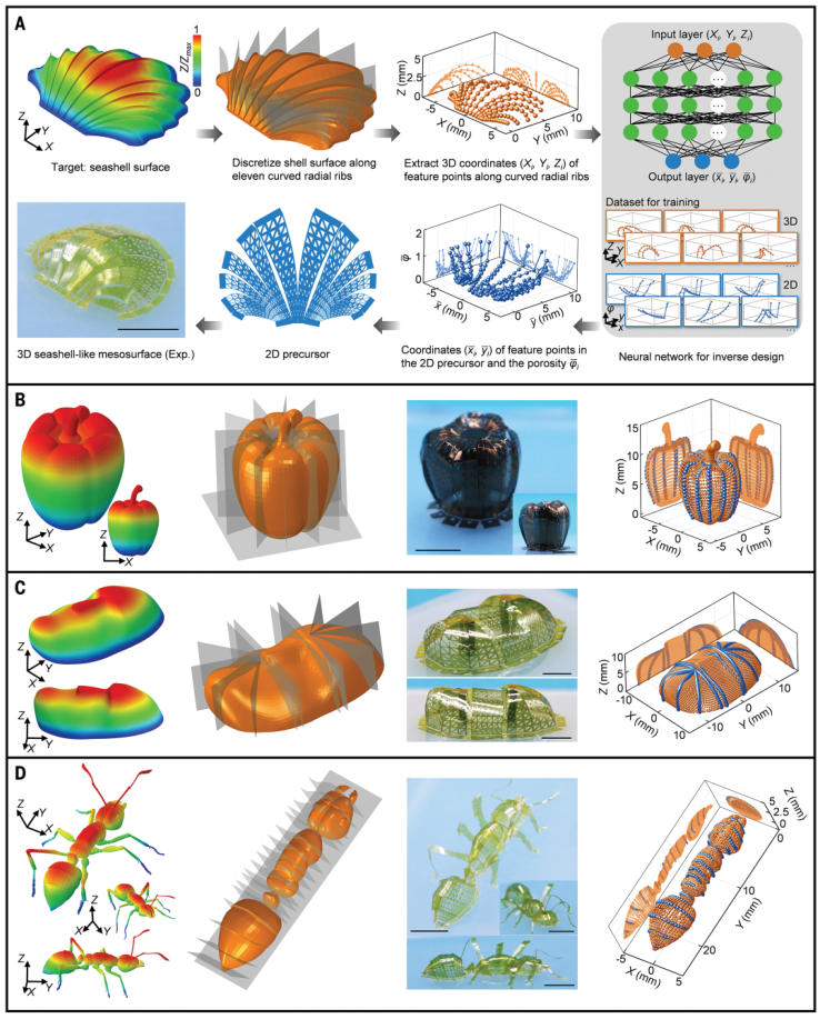 图3. 基于点云的机器学习方法用于3D复杂介表面的逆向设计 (A)