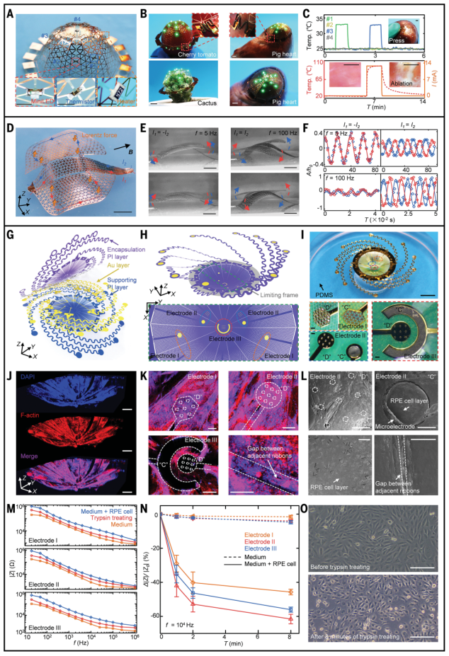 图4. 基于仿生微格子设计的3D曲面介观表面的应用。