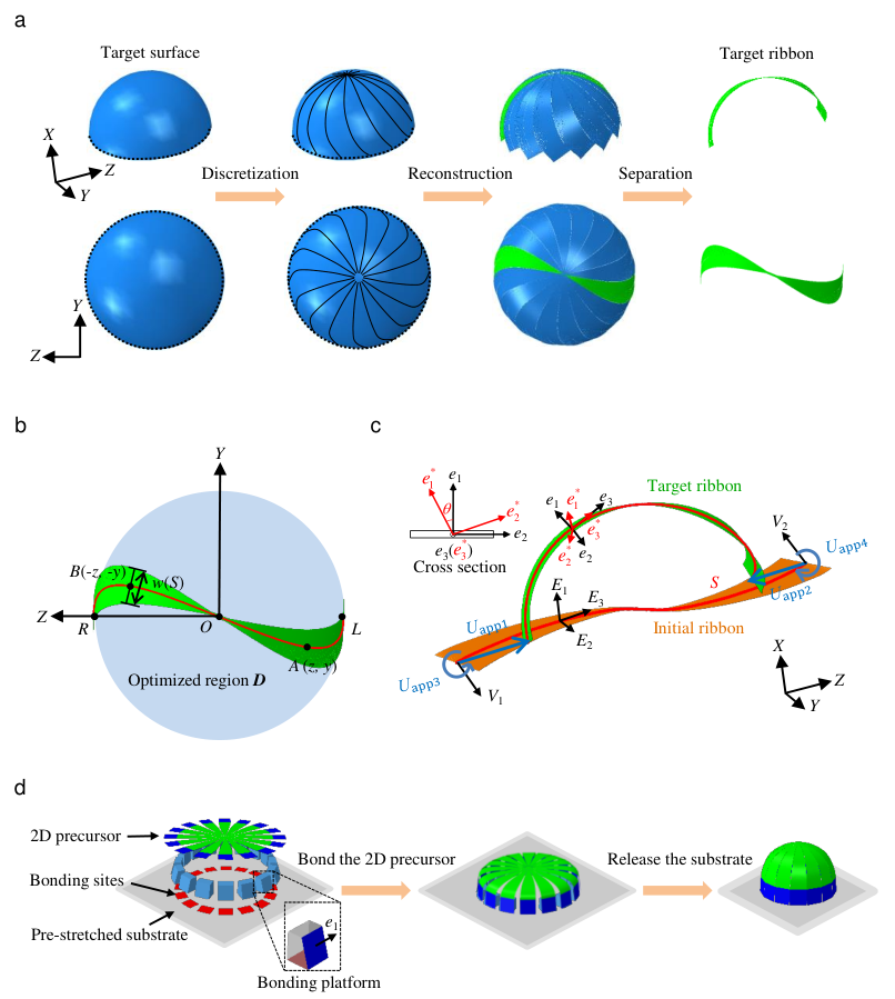 图1:中心对称3D表面的逆向设计。