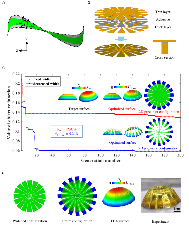 图3:引入带宽度作为额外变量的逆向设计