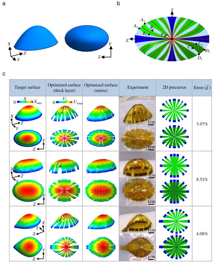 图4:一般笼状3D表面的逆向设计